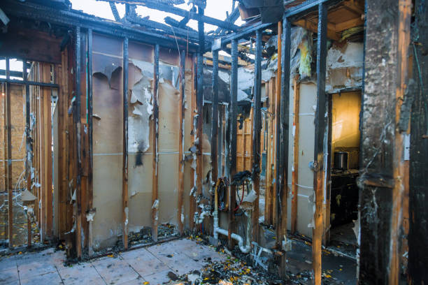 Professional Board Up Services technician working in Corralitos, CA